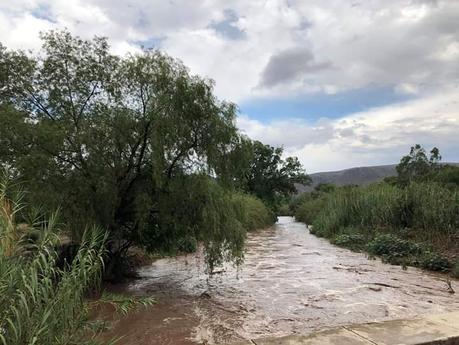 Mueren ahogados 4 miembros de una familia en Santa María del Río