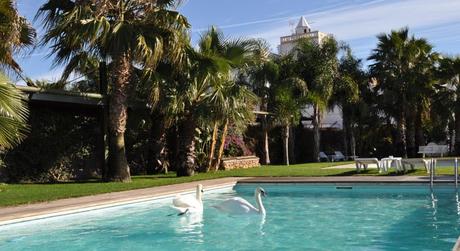 ¿Te escaparás a una de estas 6 Suites con Jacuzzi Exterior Privado? ¿Te escaparás a una de estas 6 Suites con Jacuzzi Exterior Privado?