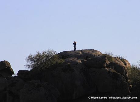 Sólo Estaba Durmiendo Sólo Estaba Durmiendo