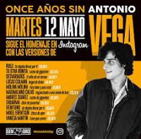 Homenaje a Antonio Vega en Instagram Homenaje a Antonio Vega en Instagram