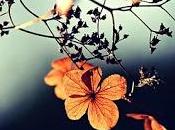 China, Alemania Corea resurgir casos coronavirus, pero lucha puede ganar (ONU)