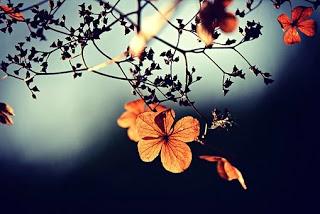 China, Alemania y Corea ven resurgir los casos de coronavirus, pero la lucha aún se puede ganar (ONU)