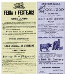 Toros en Cogolludo