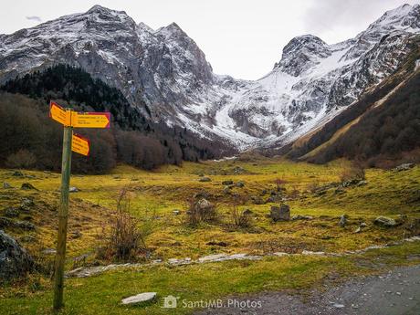También lo echo de menos