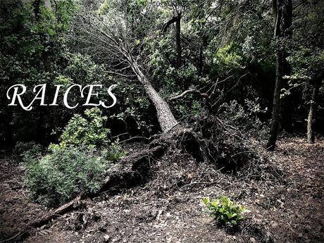 [Noticia] Raíces, nueva mixtape de Dj Amable con la que nos transporta a sus inicios en las cabinas e incluso a su adolescencia