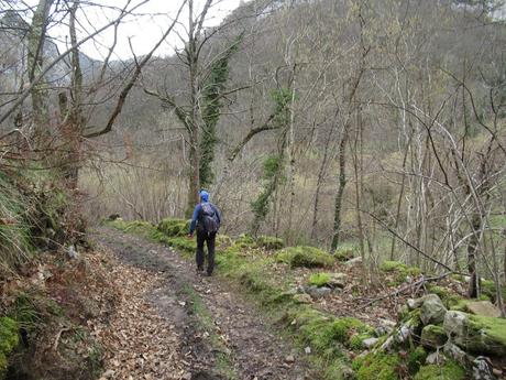 Soto de Agues-Villamoréi-Prieya-Mayá Cogullu-Abiaos