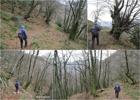 Soto de Agues-Villamoréi-Prieya-Mayá Cogullu-Abiaos