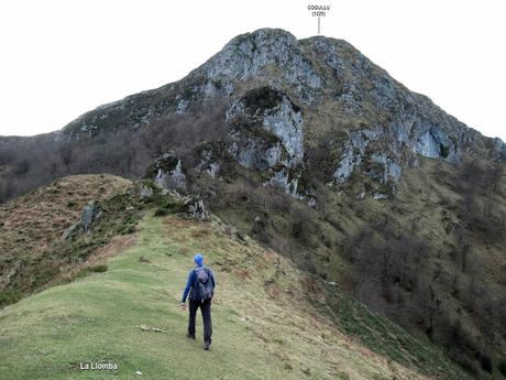 Soto de Agues-Villamoréi-Prieya-Mayá Cogullu-Abiaos