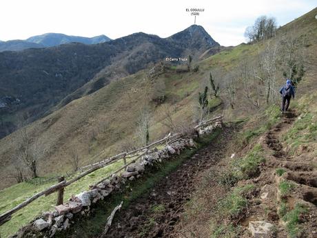 Soto de Agues-Villamoréi-Prieya-Mayá Cogullu-Abiaos