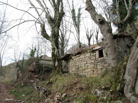 Soto de Agues-Villamoréi-Prieya-Mayá Cogullu-Abiaos