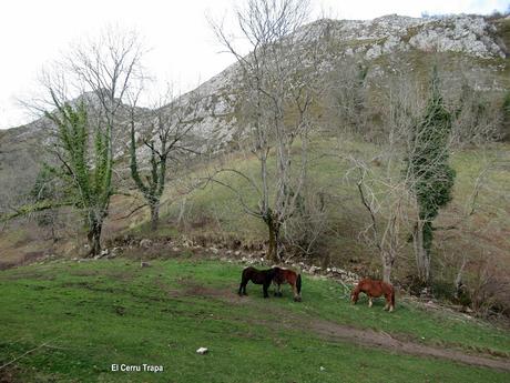 Soto de Agues-Villamoréi-Prieya-Mayá Cogullu-Abiaos
