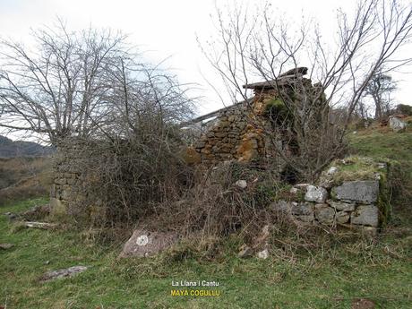 Soto de Agues-Villamoréi-Prieya-Mayá Cogullu-Abiaos