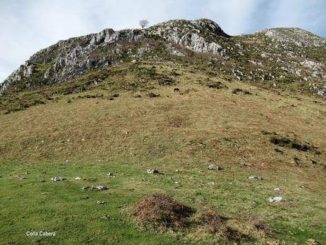 Soto de Agues-Villamoréi-Prieya-Mayá Cogullu-Abiaos