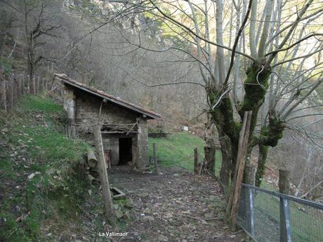Soto de Agues-Villamoréi-Prieya-Mayá Cogullu-Abiaos