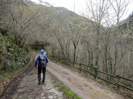 Soto de Agues-Villamoréi-Prieya-Mayá Cogullu-Abiaos