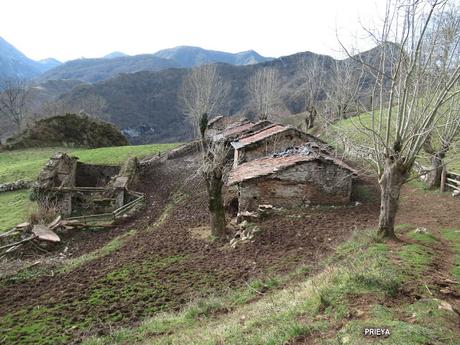 Soto de Agues-Villamoréi-Prieya-Mayá Cogullu-Abiaos