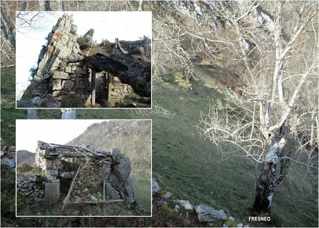 Soto de Agues-Villamoréi-Prieya-Mayá Cogullu-Abiaos