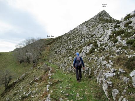 Soto de Agues-Villamoréi-Prieya-Mayá Cogullu-Abiaos