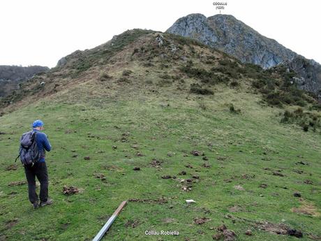 Soto de Agues-Villamoréi-Prieya-Mayá Cogullu-Abiaos
