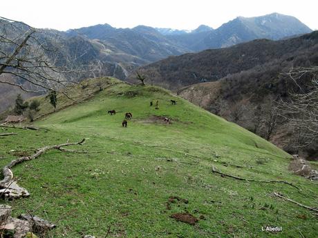 Soto de Agues-Villamoréi-Prieya-Mayá Cogullu-Abiaos