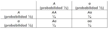 Cadenas de Markov y las leyes de Mendel (II)