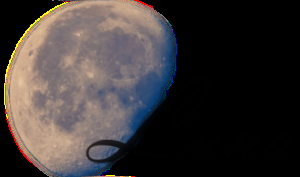 Reseña #412 - Nightflyers