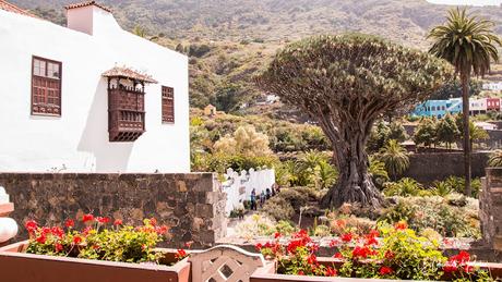El Drago Milenario de Icod de Los Vinos Tenerife