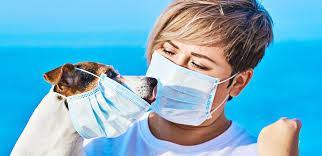 Mascotas. Cuatro patas de amor. Invisibilizados de la pandemia. Mascotas. Cuatro patas de amor. Invisibilizados de la pandemia.