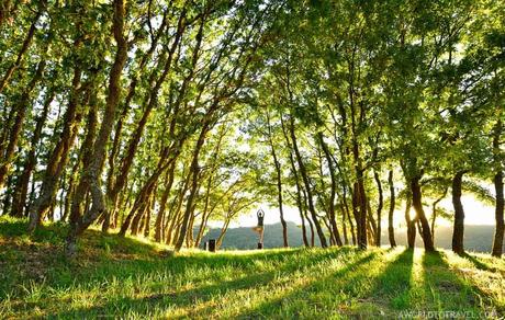 5 Buenas razones por las que el turismo rural en Galicia te enamorará