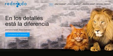 Top 23 mejores agencias de diseño web de Argentina