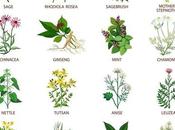 Cómo pueden ayudar Plantas Medicinales