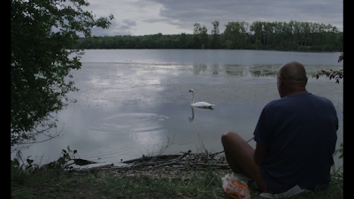 Y QUE VEAS LAS LUCES A TU ALREDEDOR