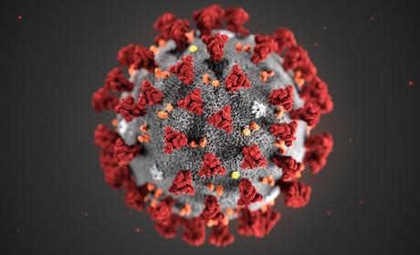 Coronavirus RD: Tasa de mortalidad en 3.73%; la de recuperados, en 29.60%