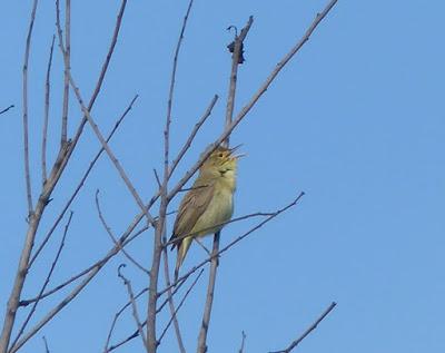 La vida sigue su curso