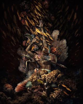 EL NOMBRE SALVAJE DE LAS COSAS