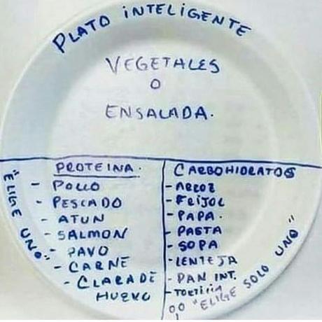 Pautas de dieta