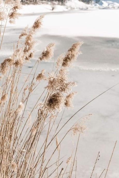 Esas cosas que me dan paz