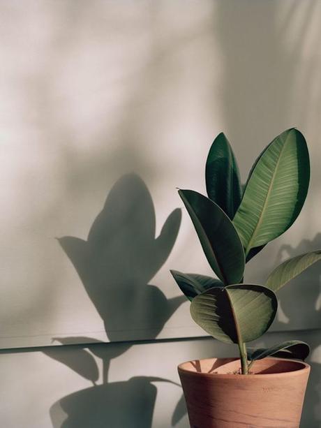 Esas cosas que me dan paz