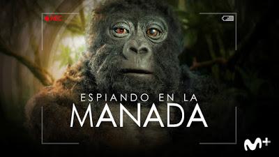 Los animatronics regresan en la segunda temporada de ‘Espiando en la manada’ Los animatronics regresan en la segunda temporada de ‘Espiando en la manada’