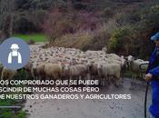 Consumidores, veterinarios administración reconocen trabajo sector ganadero-cárnico