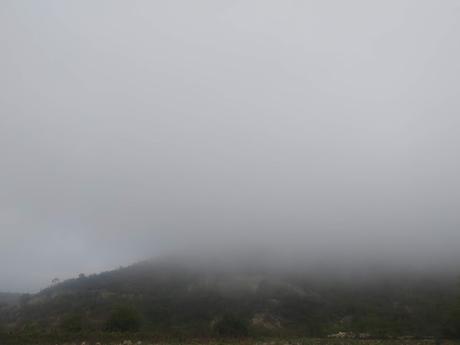 Que la fiesta del planeta sea eterna.