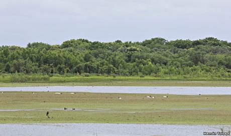 RECS (diciembre 2019)