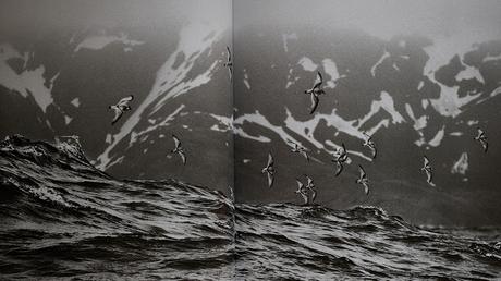 GÉNESIS - Sebastião Salgado