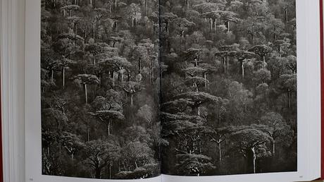 GÉNESIS - Sebastião Salgado