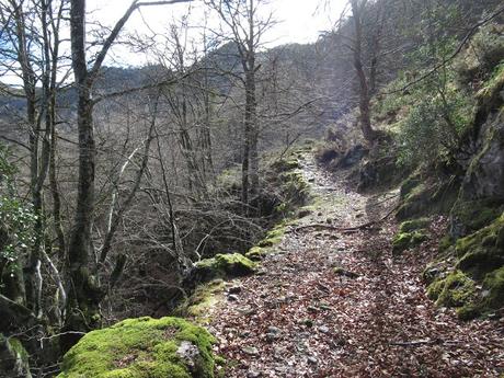 Nieves-Colines-Obia-La Felguerina-La Ordaliega