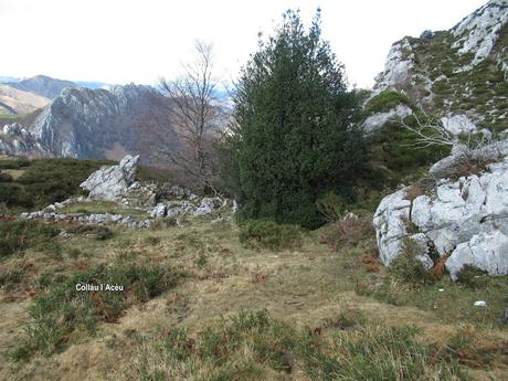Nieves-Colines-Obia-La Felguerina-La Ordaliega