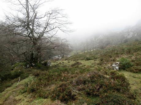Nieves-Colines-Obia-La Felguerina-La Ordaliega