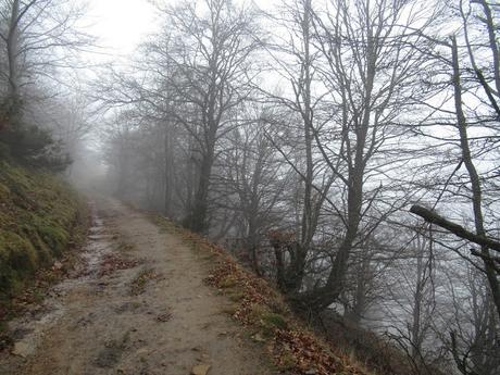 Nieves-Colines-Obia-La Felguerina-La Ordaliega