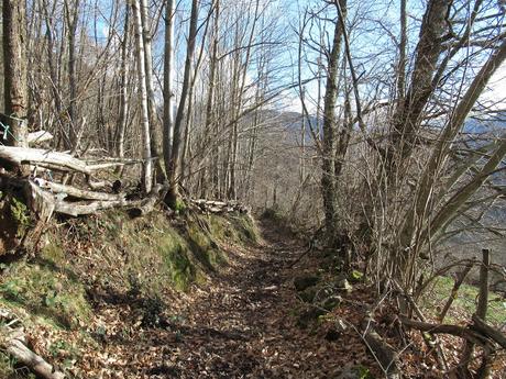 Nieves-Colines-Obia-La Felguerina-La Ordaliega