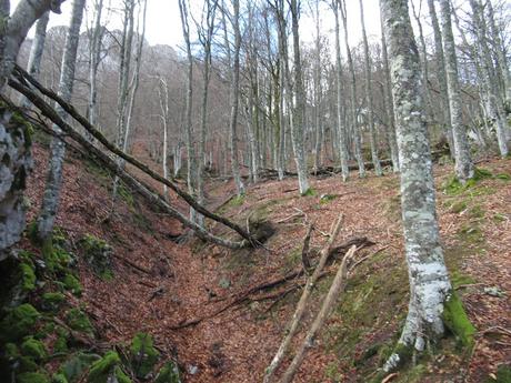 Nieves-Colines-Obia-La Felguerina-La Ordaliega